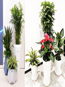 惊!北仑绿化养护竟有如此实惠之选,速来!